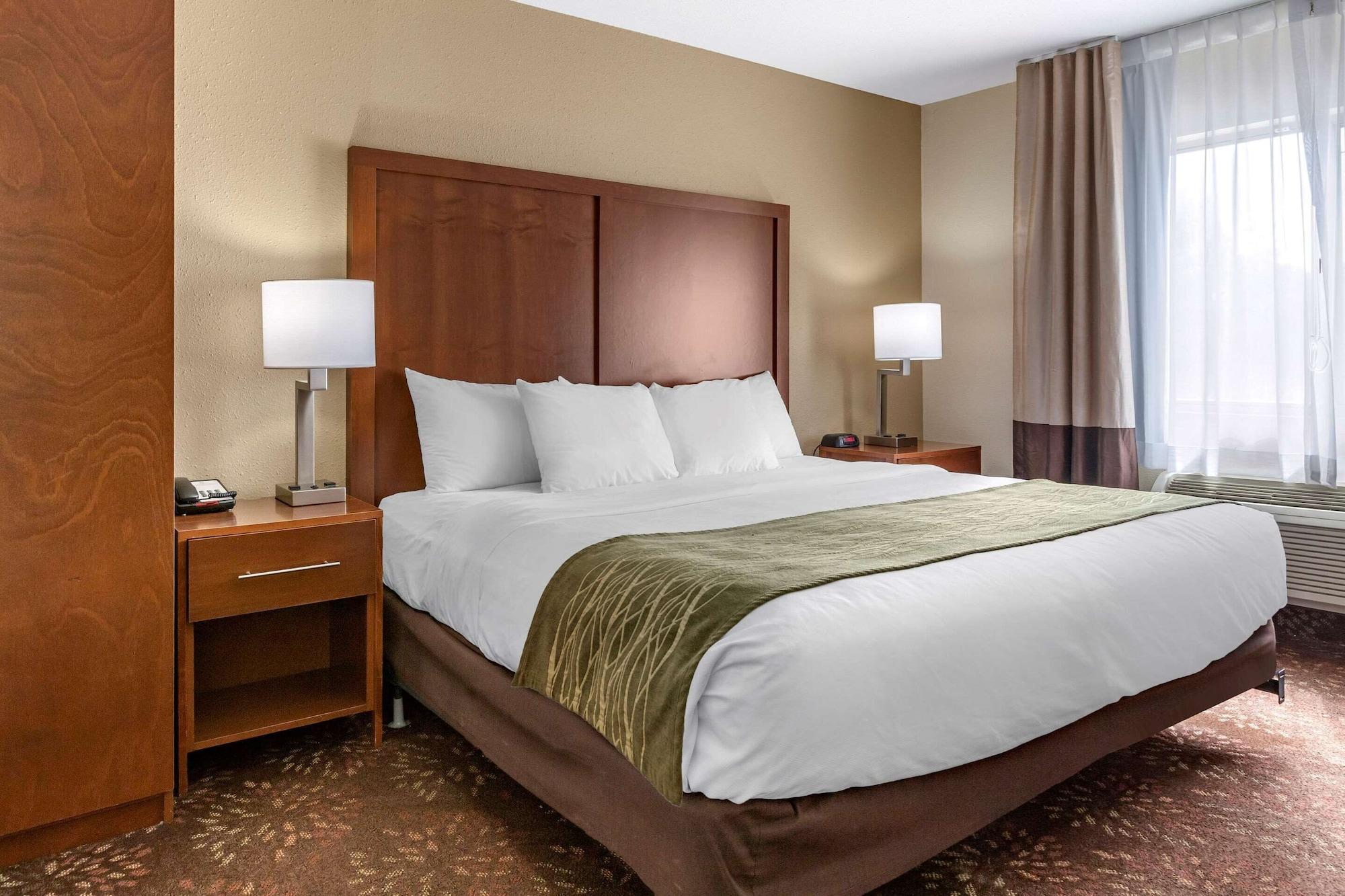 Comfort Inn Okemos - East Lansing Екстериор снимка